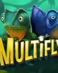 Multifly